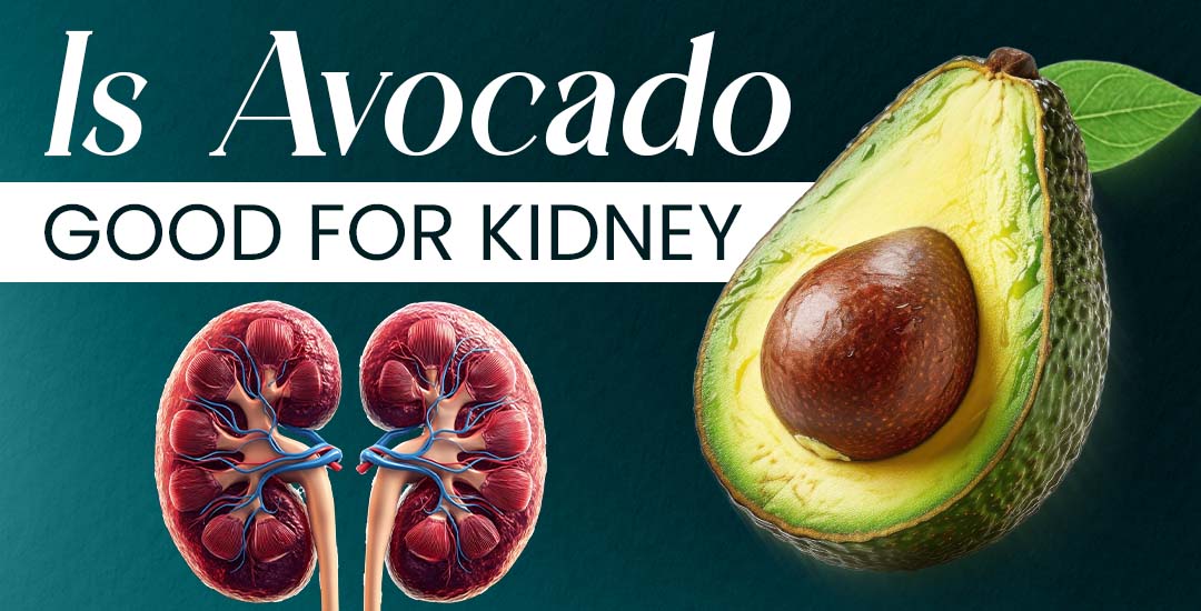 Is Avocado Good for Kidney?